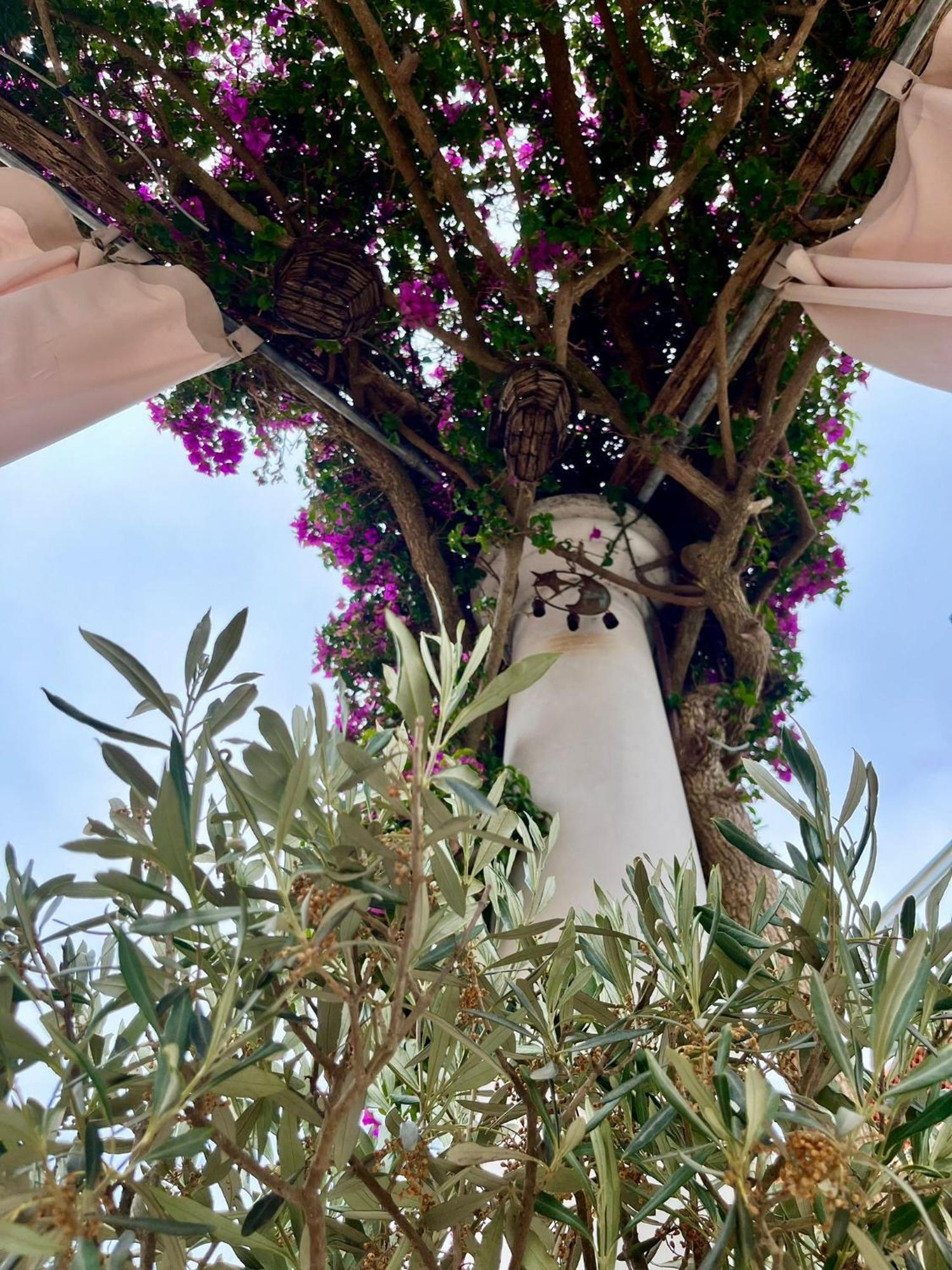 Alle Stelle B&B Anacapri  Exterior photo